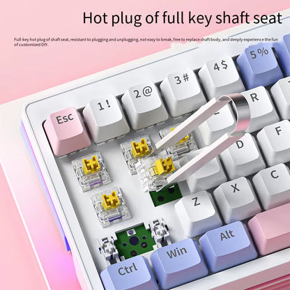 63 Keycaps Mechanical Keyboards Wired RGB Gaming Keyboard for Home Office Computer Macbook Ipad PC Tablet Small Size Keyboards